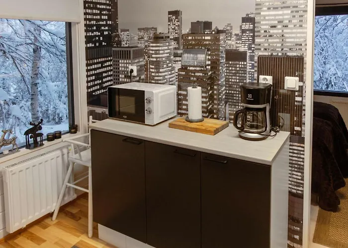 Mustalampi 3 Lintukoto By Interhome Niskala