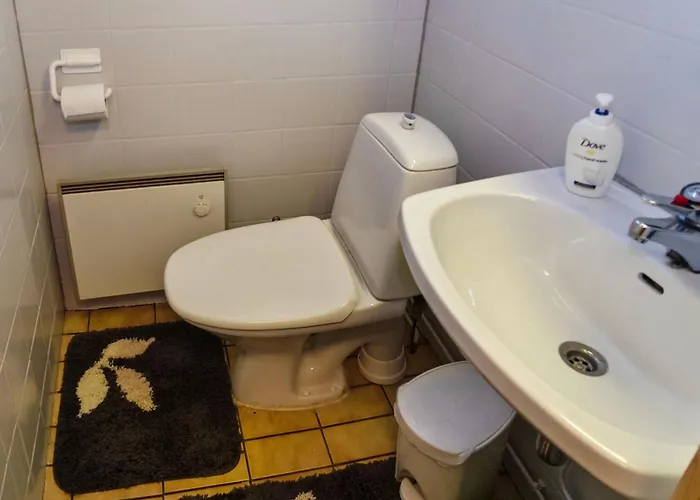 Nyaraló Mustalampi 3 Lintukoto By Interhome Niskala