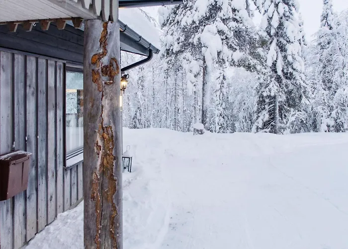 Mustalampi 3 Lintukoto By Interhome Nyaraló