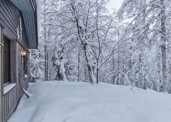 Mustalampi 3 Lintukoto By Interhome Nyaraló Niskala