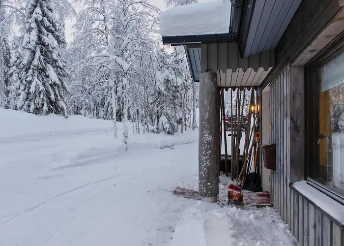 Mustalampi 3 Lintukoto By Interhome * Niskala